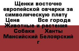 Щенки восточно европейской овчарки за символическую плату › Цена ­ 250 - Все города Животные и растения » Собаки   . Ханты-Мансийский,Белоярский г.